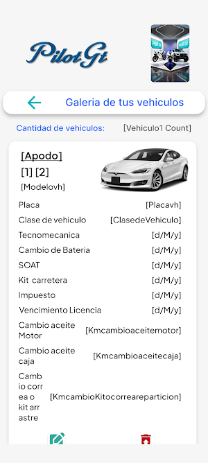 PilotGt Screenshot 2