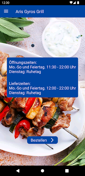 Aris Gyros Grill Screenshot 1