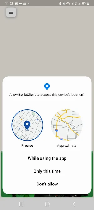 Borla Client Screenshot 3