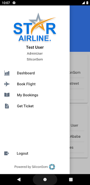 Star Airline Screenshot 1