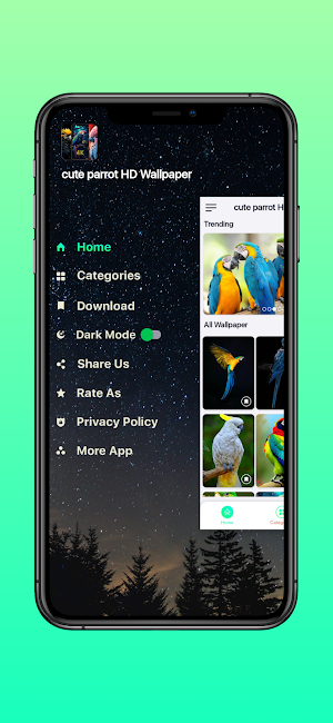 cute parrots HD wallpapers Screenshot 2