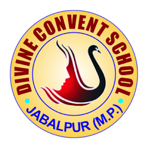 Divine Convent School Screenshot 0