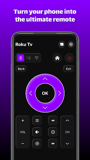 Remote Roku TV & Cast to TV Screenshot 0