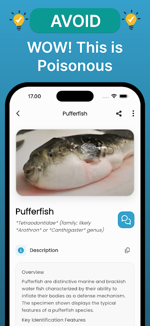Fish Pic: AI Fish Identifier Screenshot 1