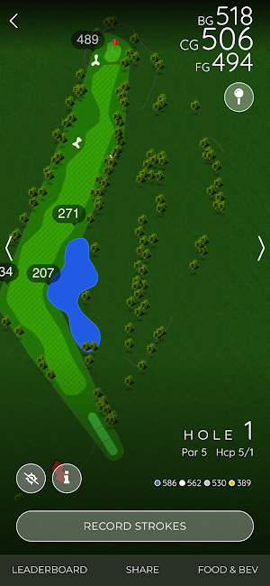 Village Greens Golf Course Screenshot 3