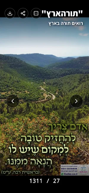 "תורהארץ" - רואים תורה בארץ Screenshot 2