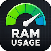 RAM Usage