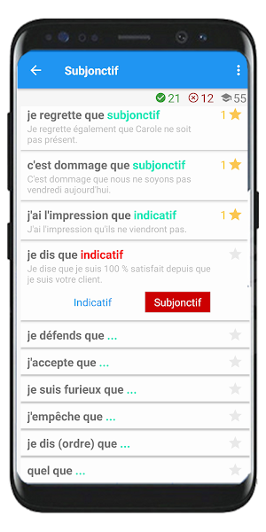 Subjonctif - Study French Grammar Free and Fast Screenshot 3