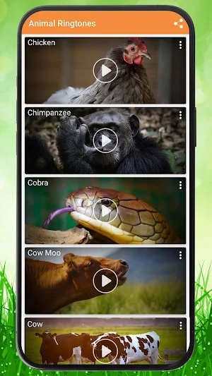 Animals Ringtones Screenshot 2