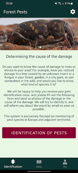 Forest pests Screenshot 0