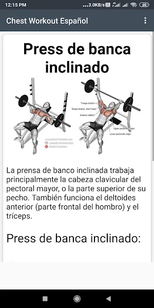 Chest Workout Español Screenshot 2