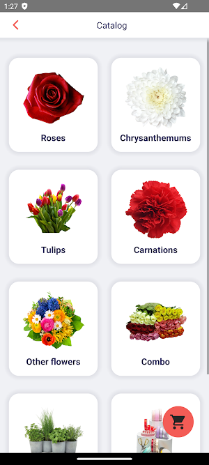 Flora Market Screenshot 2