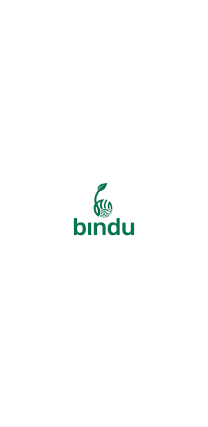 Bindu S.R.L. Screenshot 0