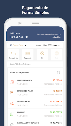 CredlinePay Screenshot 1