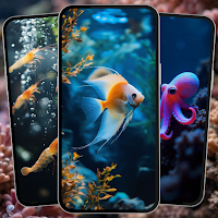 Aquarium Wallpaper 4K