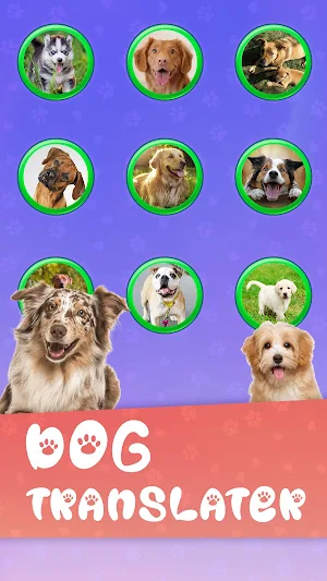 Translator for Dogs Prank Screenshot 0