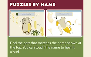 Montessori Botany - Parts of Fruits Screenshot 3