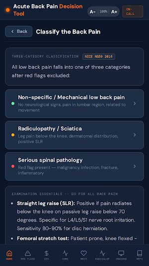 Acute Back Pain Decision Tool Screenshot 3