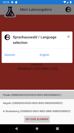 Mein Laborergebnis Screenshot 2