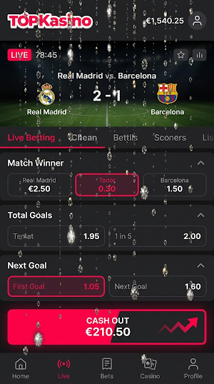 TopKasino Screenshot 3