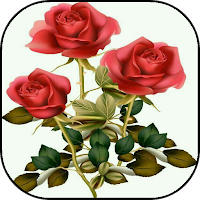 Flower Rose Animated Image Gif