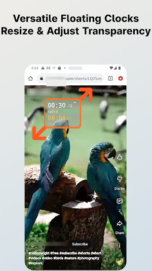 ​aFlowT:Alarm to Talking Timer Screenshot 0