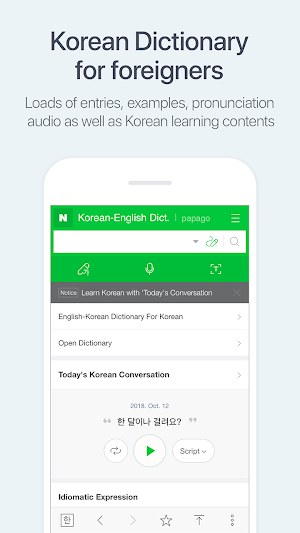 NAVER Korean Dictionary Screenshot 1
