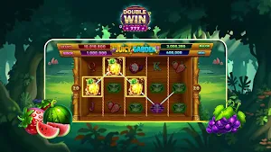 Double Win Screenshot 0