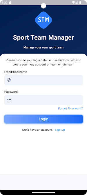 STM Screenshot 1