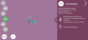 Myco’Simulator Screenshot 3