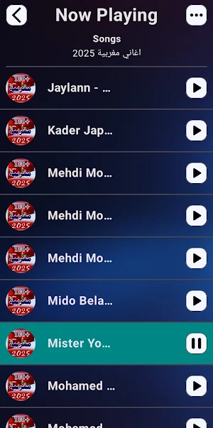 اغاني مغربية | 2025 بدون نت Screenshot 1