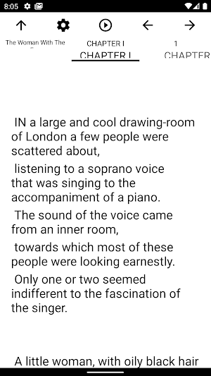 Book, The Woman With The Fan Screenshot 1