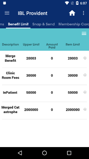 IBL Provident Screenshot 3