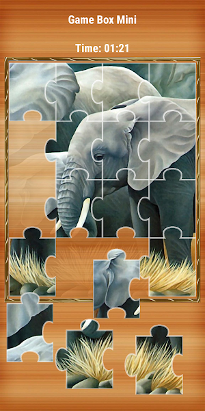 Jigsaw Puzzle Master 2021 Screenshot 3