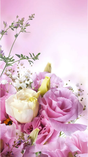 Beautiful Flowers Wallpaper HD Screenshot 0