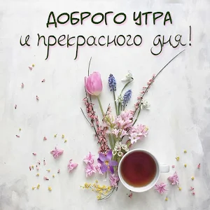 Доброго утра и хорошего дня Screenshot 0