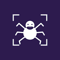 Spider Identifier AI