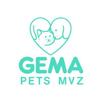 GEMA PETS MVZ