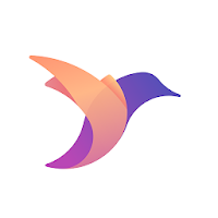 Smartbirds