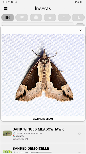 Insects... Screenshot 2