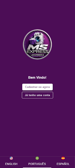MS Express Screenshot 0