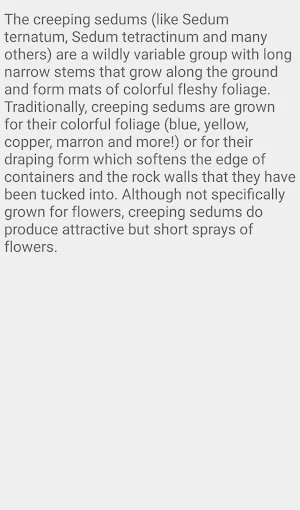 Sedum Flower plants Screenshot 3