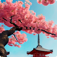 Sakura Flower HD Wallpapers