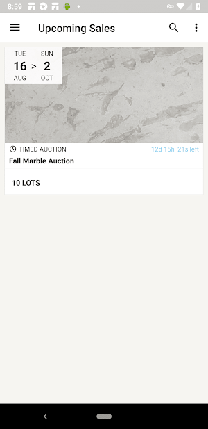 USA Stone Auction Screenshot 0