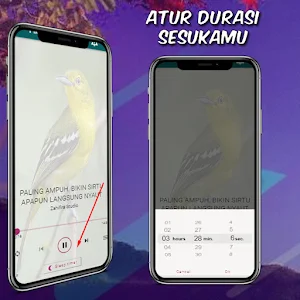 Pikat dan Master Burung Sirtu Screenshot 1