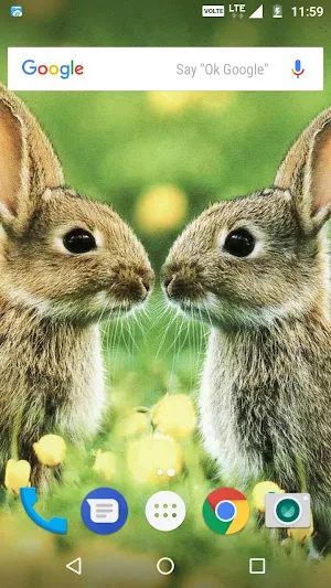 Rabbit Wallpaper HD Screenshot 0