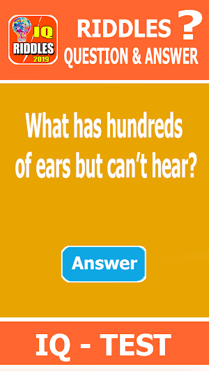 RIDDLES Question Screenshot 2