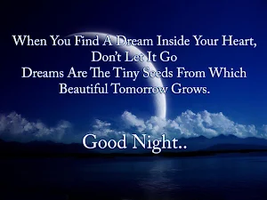 Good Night Images, Hindi Status, Wishes & Quotes Screenshot 2