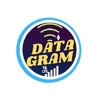 DataGram