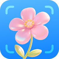 Ever Green - Plant Care